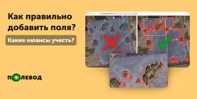 Какие нюансы существуют при разметке полей?