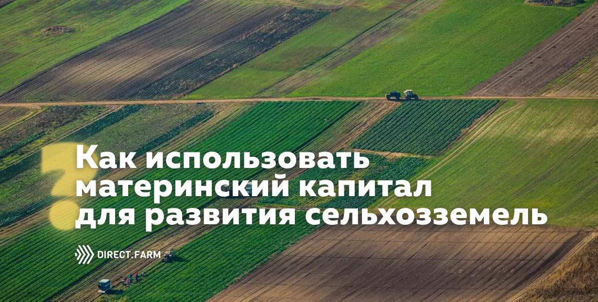 Как использовать материнский капитал для развития сельхозземель