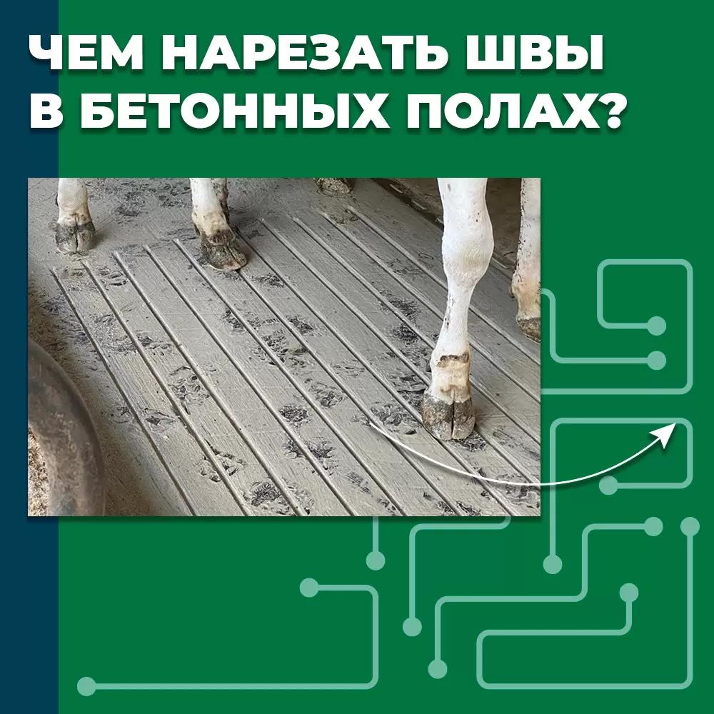 Рассказываем про важность оборудования для нарезки полов!  К слову, ПТК