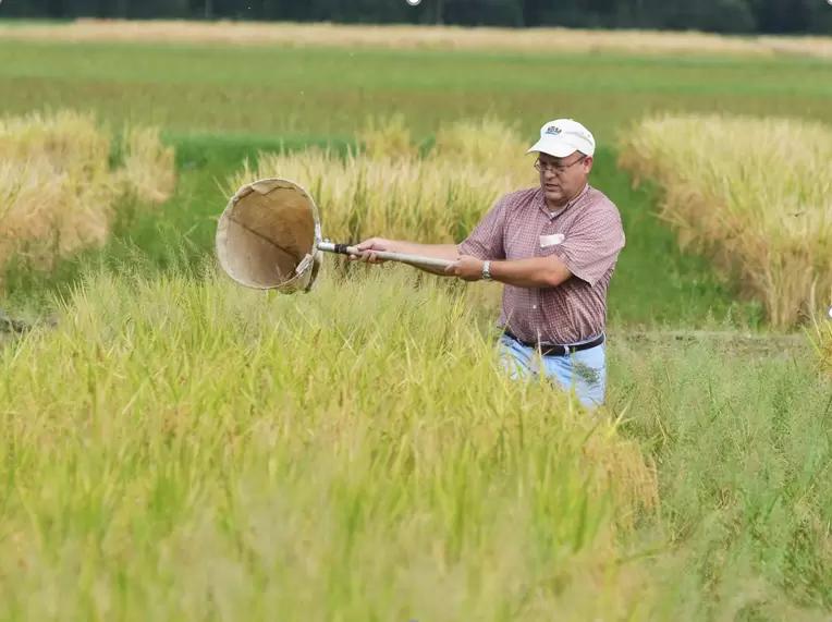 Учеты, проводящиеся при выборе инсектицидов