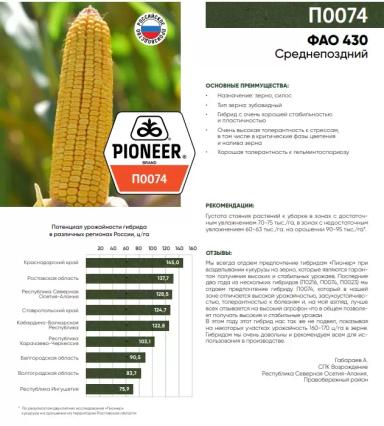 П 0023 - гибрид кукурузы Пионер