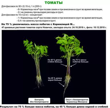 Роль микоризы в сельском хозяйстве