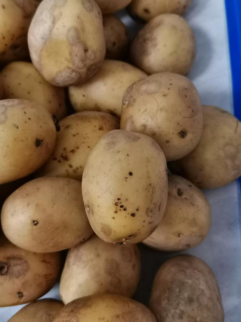 Хочу поделиться эстетикой прохождения моей преддипломной практики в