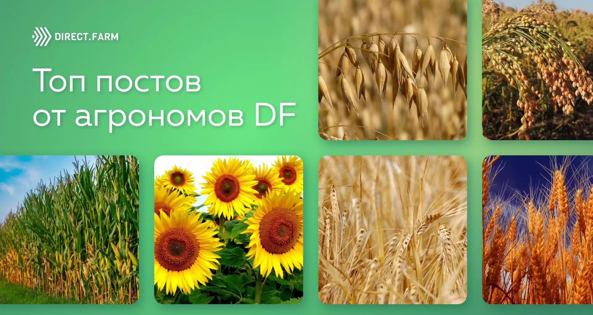 Топ-постов по растениеводству за апрель 2023