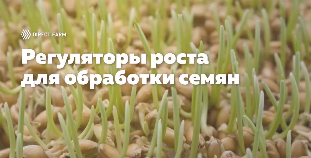 Обработка семян регуляторами роста
