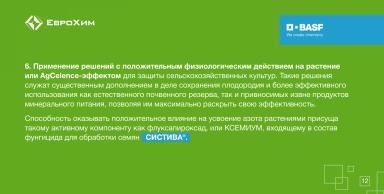 5 декабря — Всемирный день почв