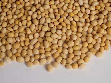 СОХРАНИЛ СЕМЕНА – ПРЕУМНОЖИЛ УРОЖАЙ