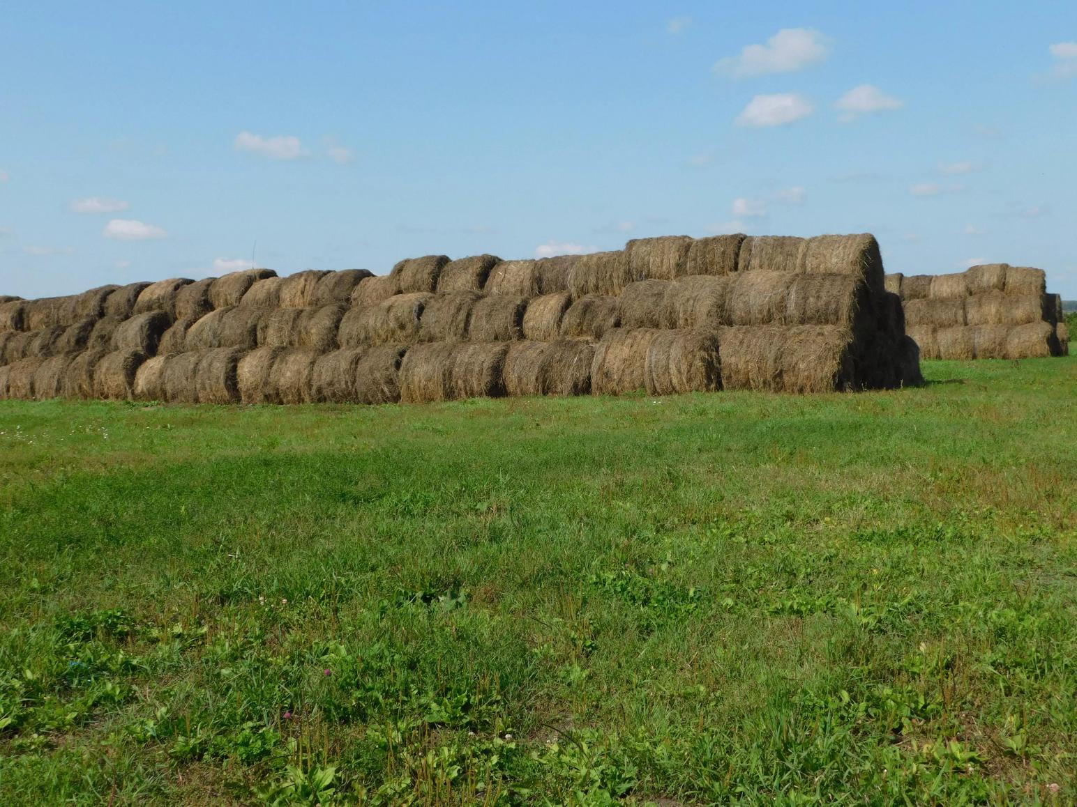 Новости с фермы. К зиме готовы.