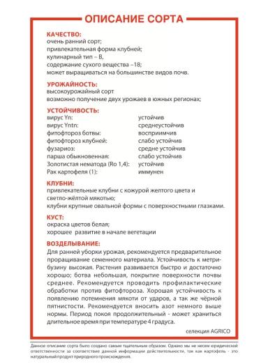 Ривьера (RIVIERA)