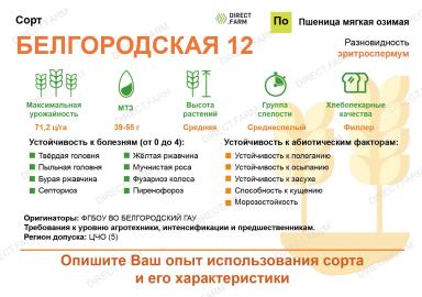 Белгородская 12 сорт мягкой озимой пшеницы