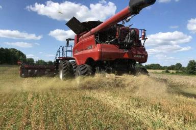 Борьба с сорняками с помощью комбайна: еще один способ снизить расход СЗР