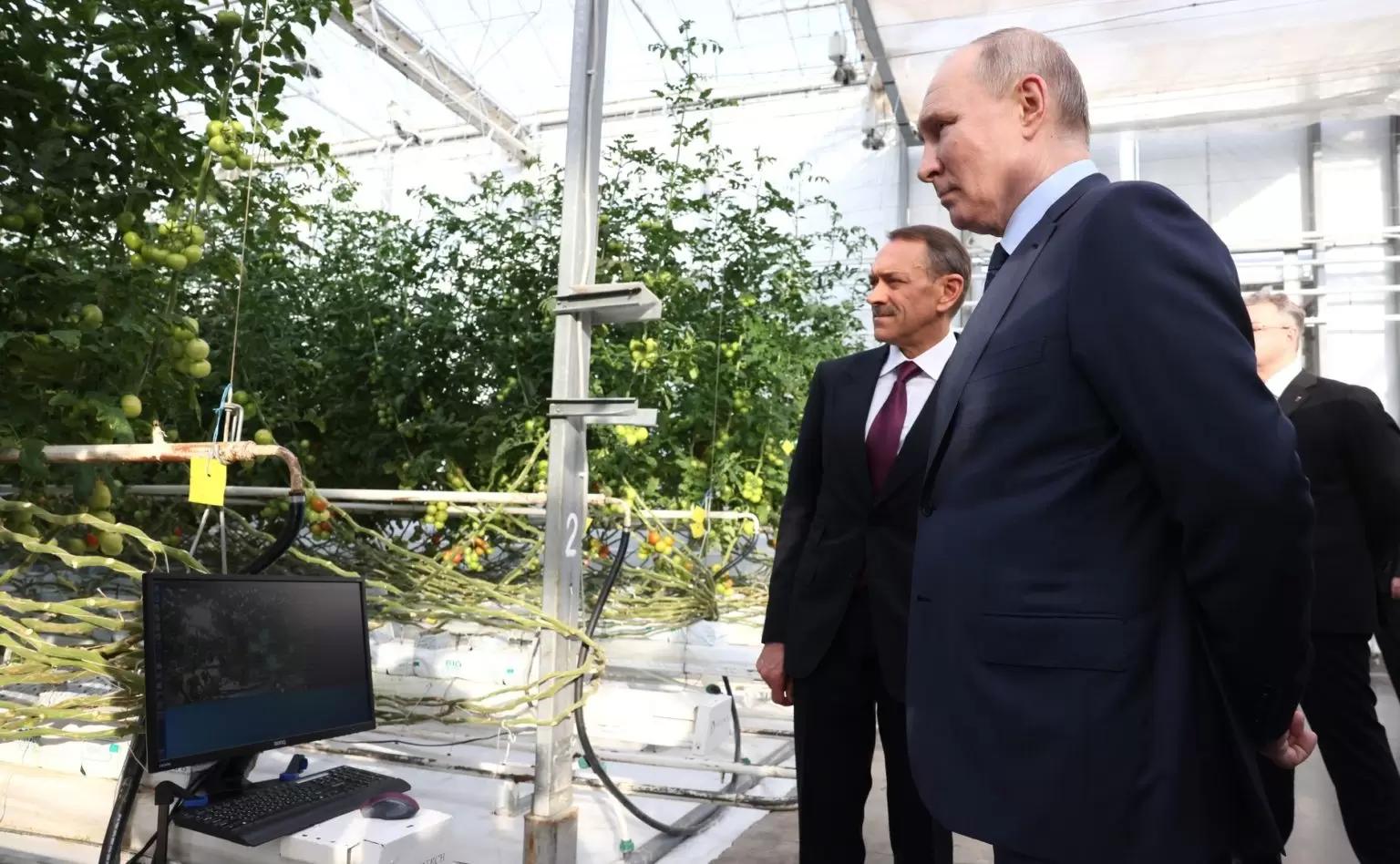 «Агроном – это звучит гордо»: Путин пообщался с аграриями и открыл новые заводы