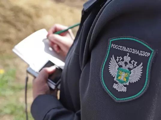 Россельхознадзор: какие продукты чаще всего фальсифицируют