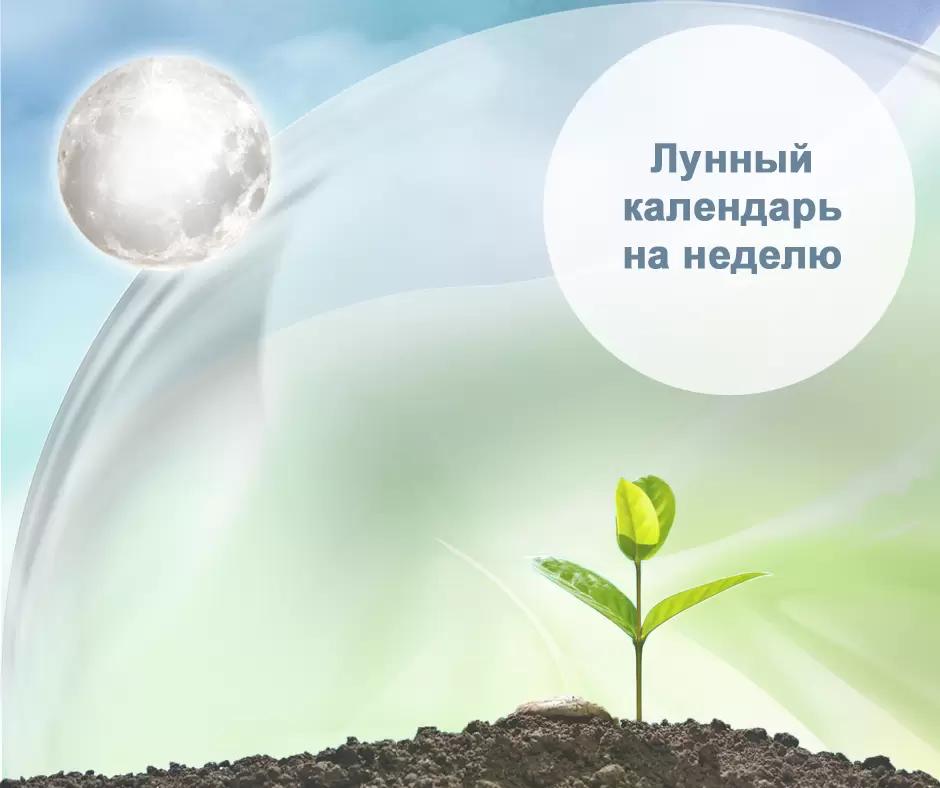 Лунный календарь