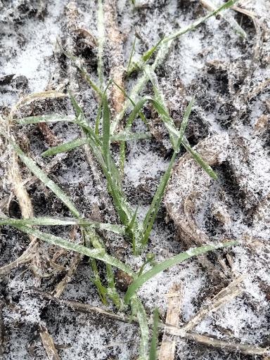 Пережить зиму.