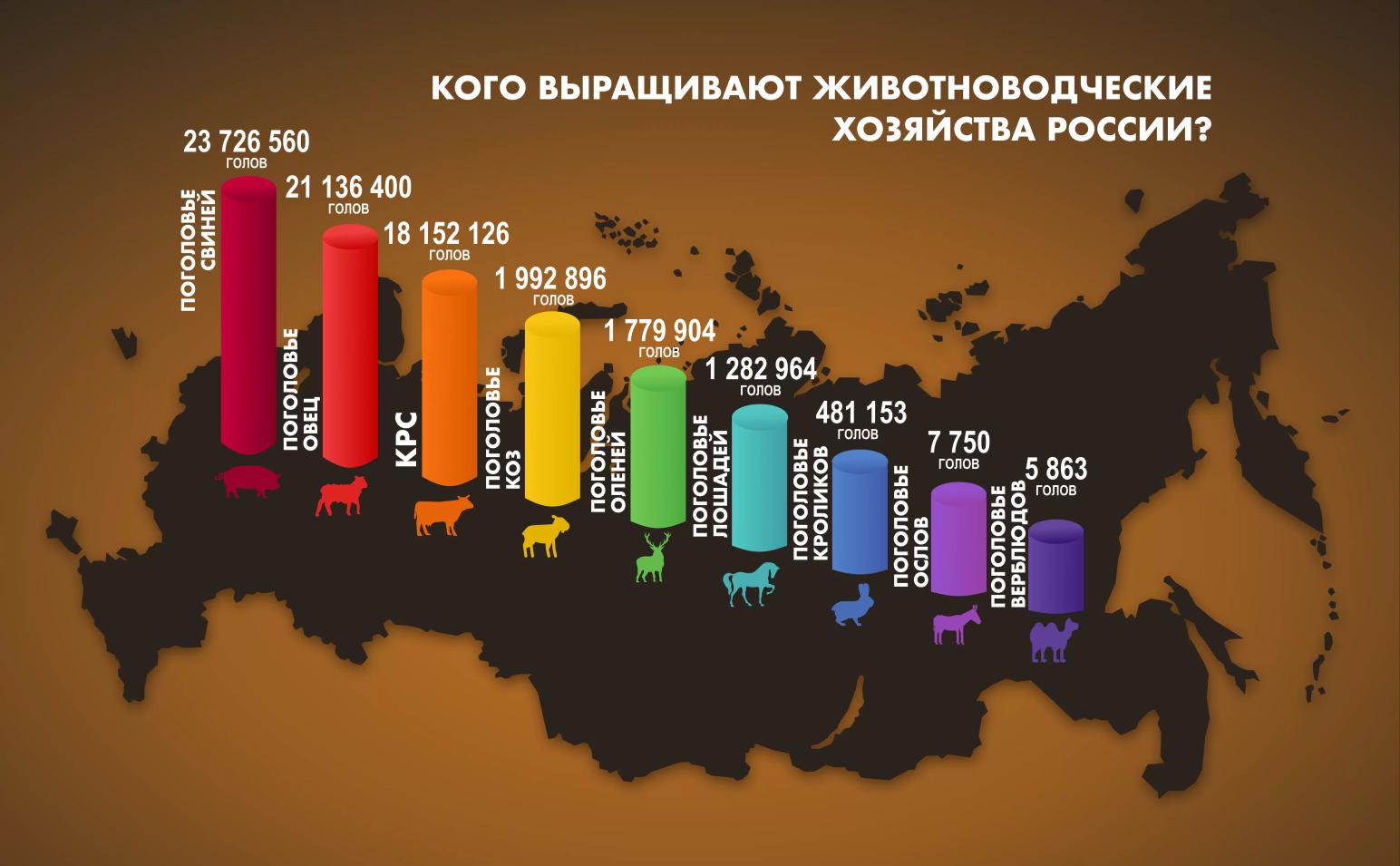 Кого выращивают животноводческие хозяйства России