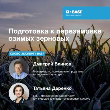 🌾 Озимые готовы к перезимовке!