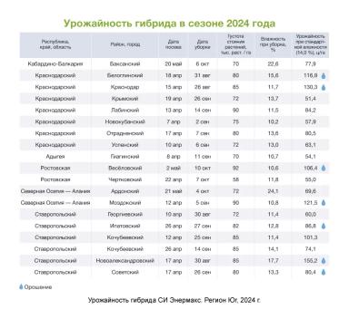 АРТЕЗИАН™: подберите свой идеальный гибрид кукурузы