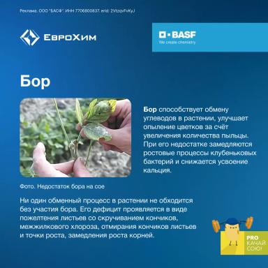 PROкачай сою! Признаки дефицита элементов питания при возделывании сои