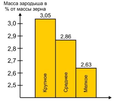 сильные семена и фуролан росторегулятор физиологических процессов