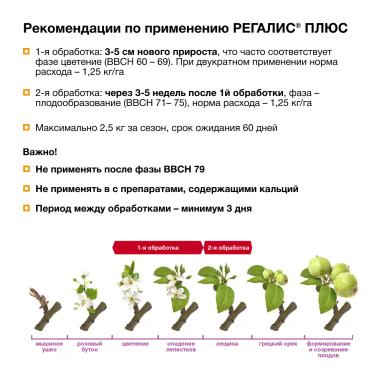 Оптимальный рост — максимальный потенциал сада