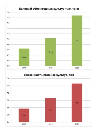 Насколько Россия зависима от зарубежного плодоводства?
