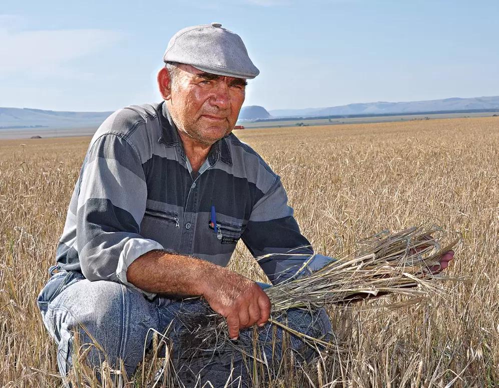 Какие у вас случались ошибки на вашем аграрном веку?