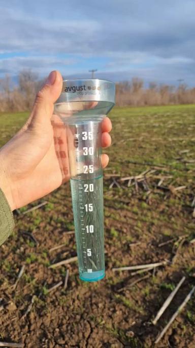 Гром🌾 после евролайтинга🌻