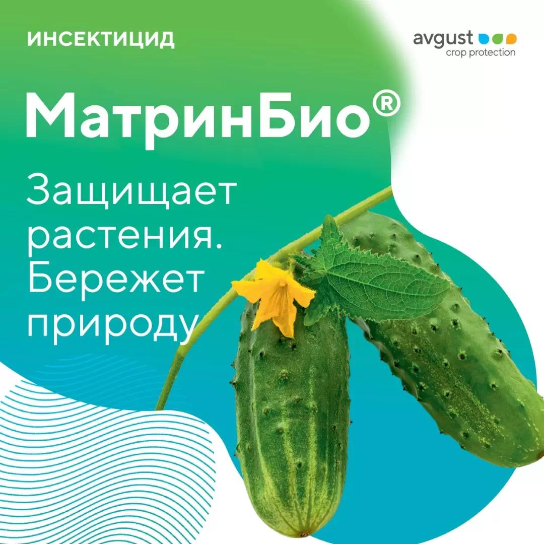 Эффективный инсектоакарицид