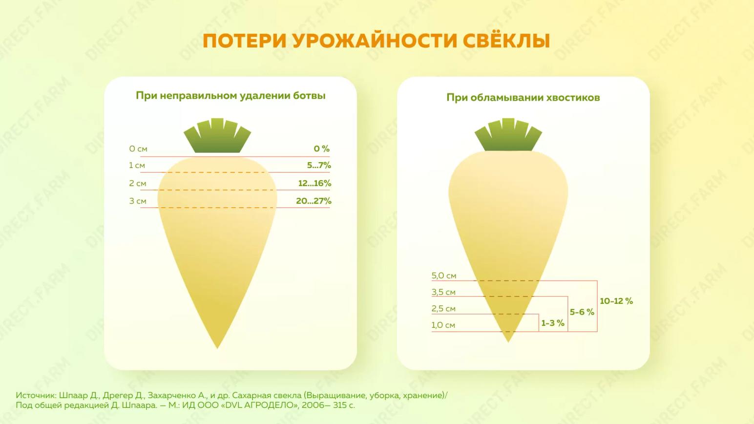 Потери урожая сахарной свёклы
