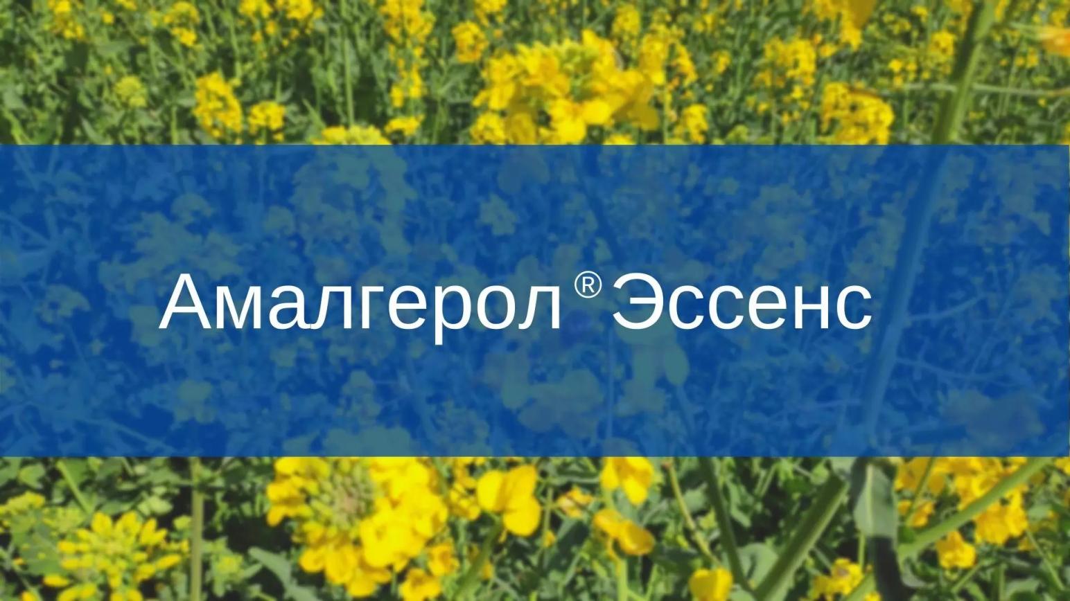 Амалгерол ® Эссенс 