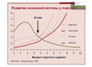 Кормление поросят: высокая перевариваемость и приятный вкус. Часть 1