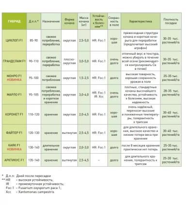 Циклоп  F1  (ZYKLOP)