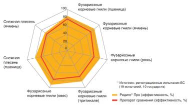 Фузариозная корневая гниль: как снизить риски потерь урожая