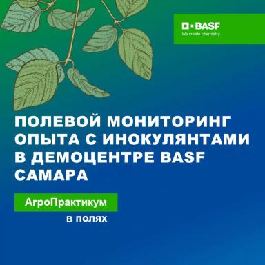 Продолжается активная работа по оценке технологий для защиты и питания сои