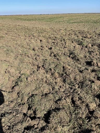 Глубокорыхлитель 