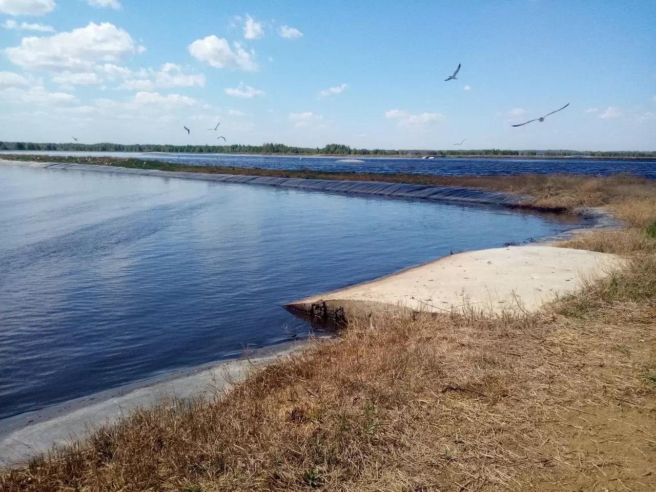 Понятие «опасные отходы» применительно к навозу нужно отменить как можно быстрей