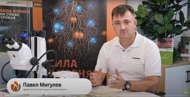 Фитоэкспертиза семян и фитоэкспертиза почвы