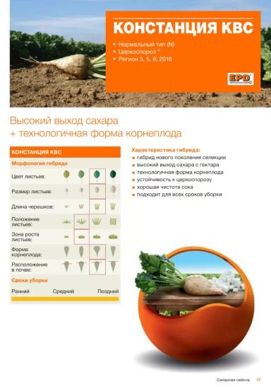 Констанция КВС