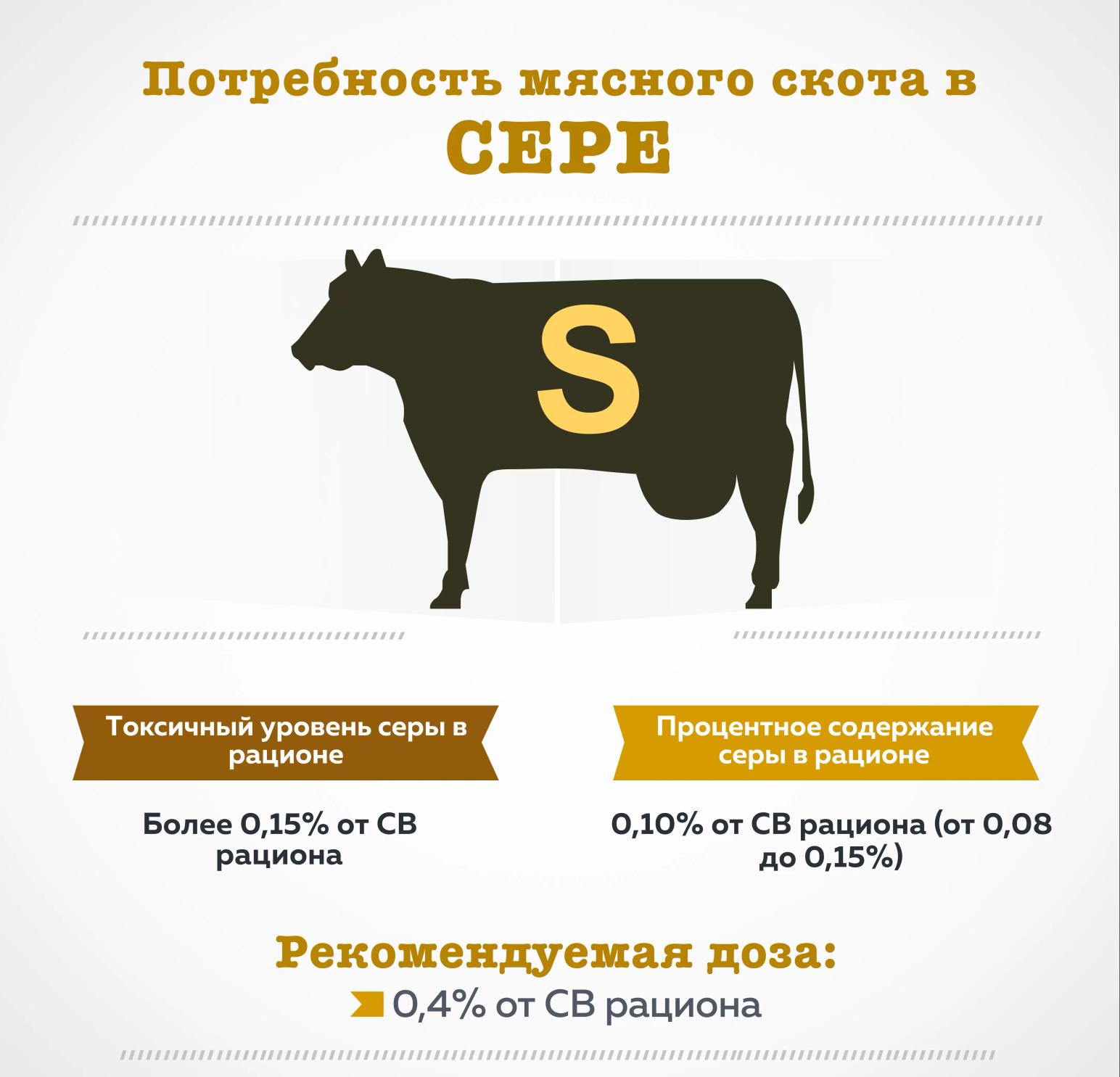 Потребность мясного скота в сере