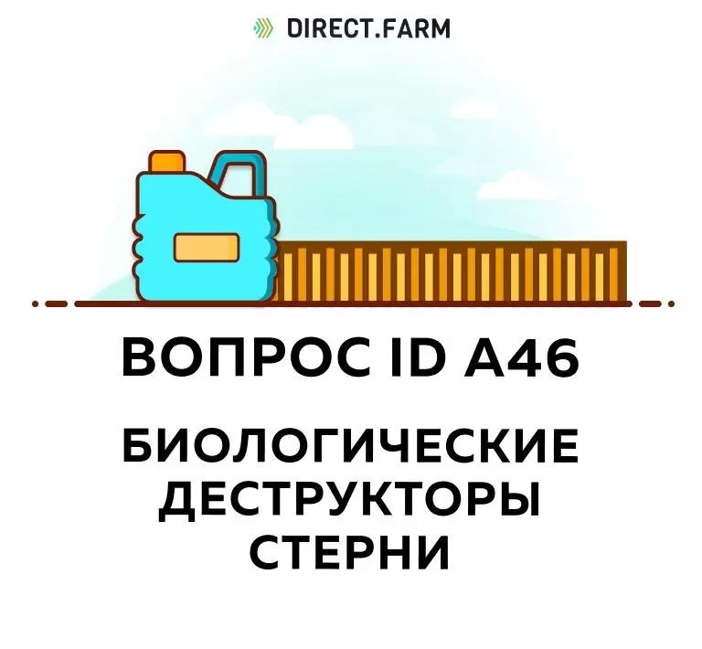 Эффективно ли применение биологических деструкторов?