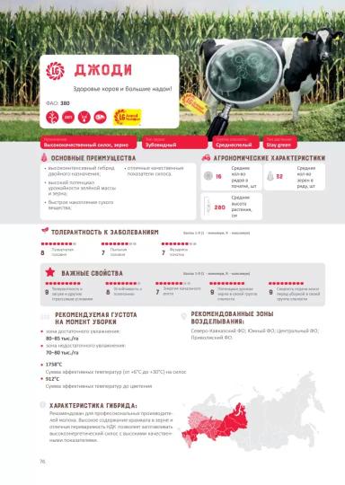 Джоди гибрид кукурузы