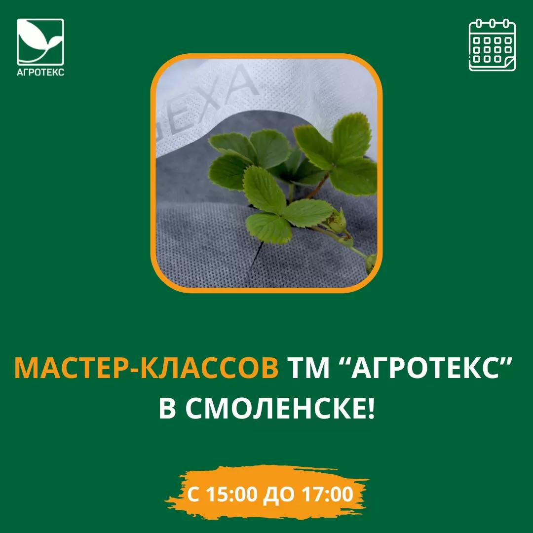 Мы едем радовать Смоленск!