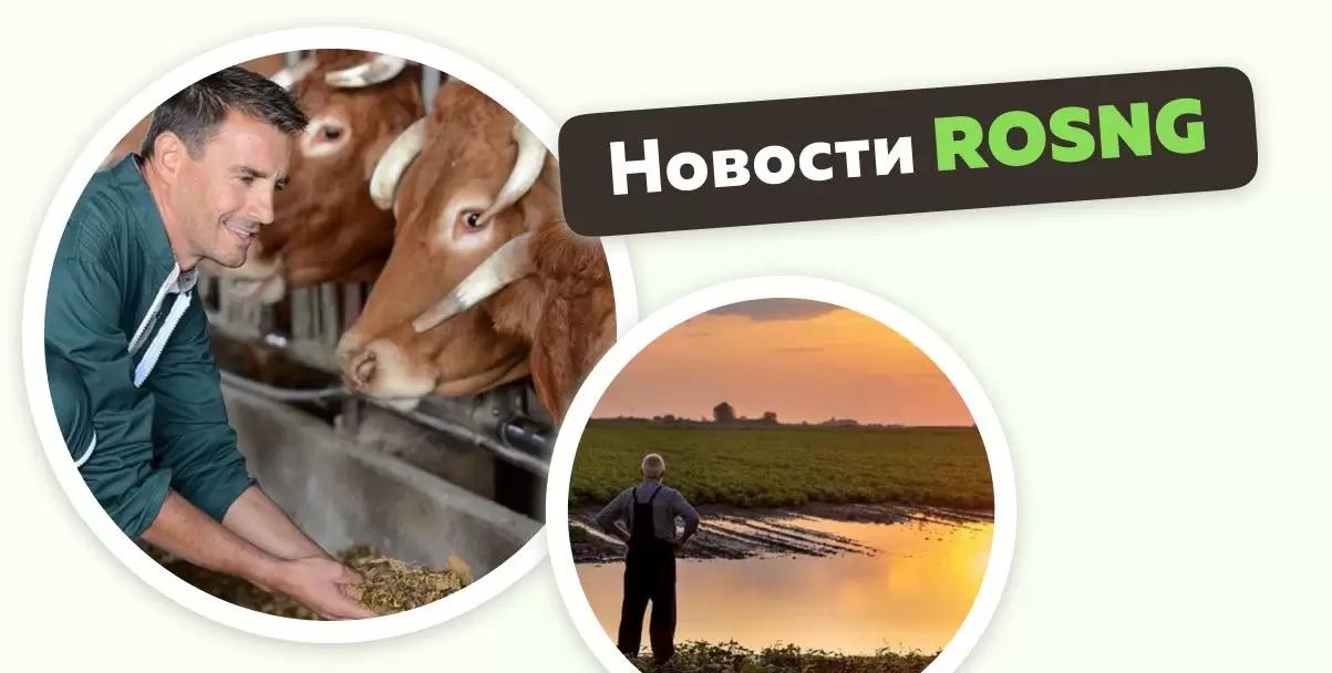 Обзор новостей за 29 декабря