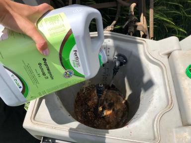 Фертигрейн Фолиар Плюс: листовая подкормка, которая работает «здесь и сейчас»