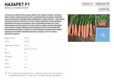 Назарет F1 (NAZARETH)