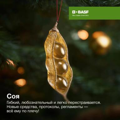 Какая вы культура?