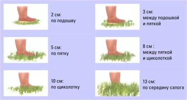 Дюдэ – Овцеводство. Гл. 12. Ч. 2. Выпас. Рационы