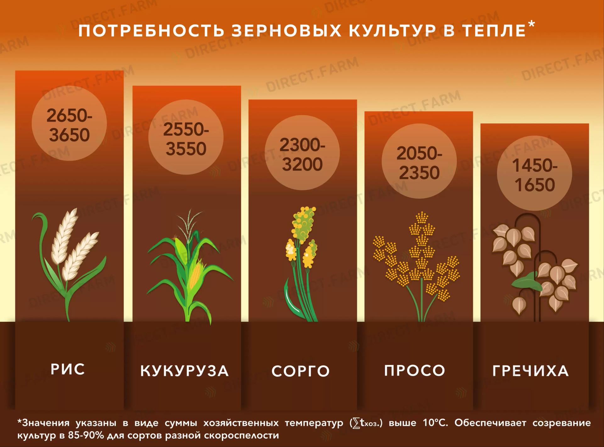 Потребность зерновых в тепле