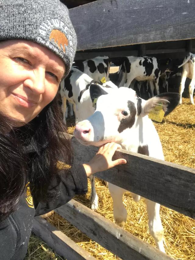 «О вводимых ограничениях в применении антибиотиков в животноводстве».